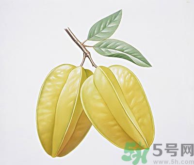 楊桃和什么不能一起吃？楊桃不能與什么同食？