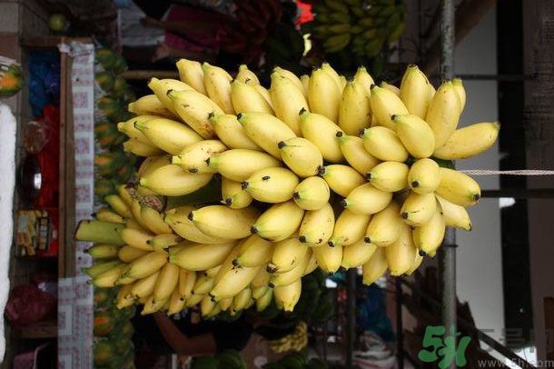 孕婦可以吃牛奶蕉嗎？孕婦吃牛奶蕉好嗎？