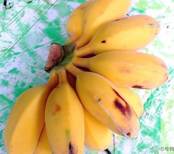 什么是牛奶蕉？牛奶蕉好吃嗎？