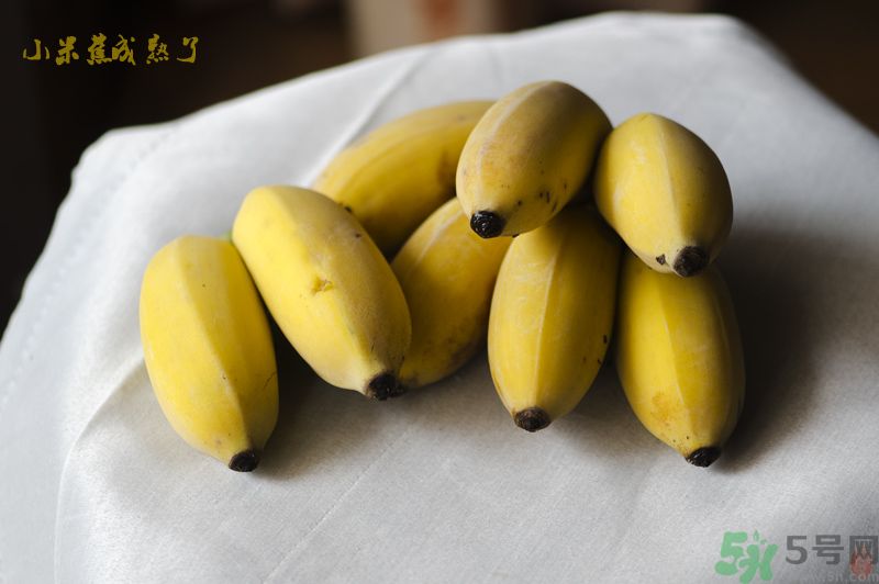 牛奶蕉可以和蘋果一起吃嗎？牛奶蕉和蘋果一起吃好嗎？