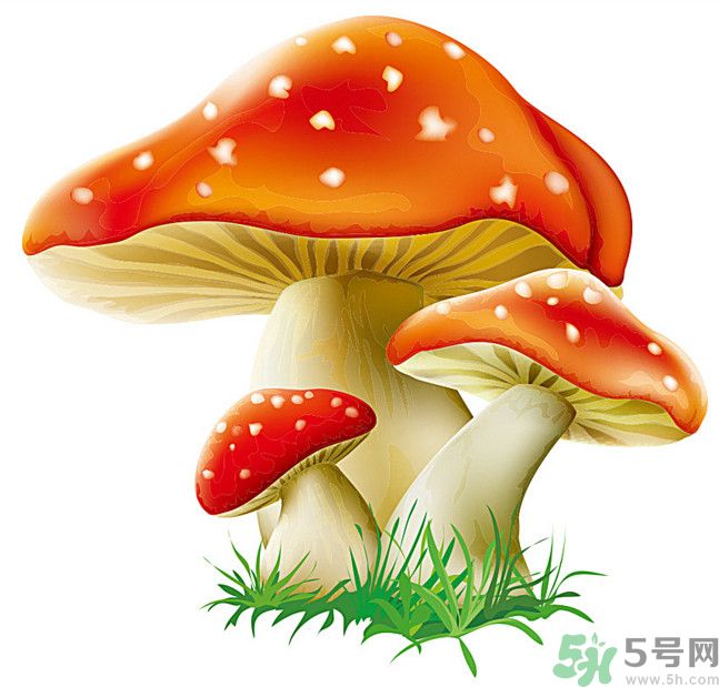 吃蘑菇可以喝酒嗎？吃蘑菇喝酒會(huì)中毒嗎？