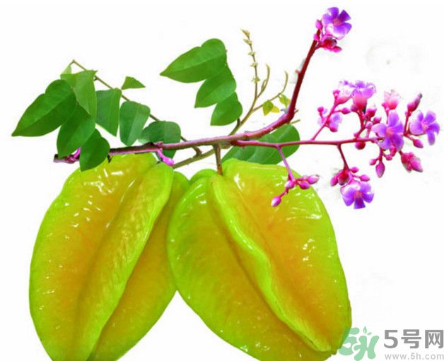 慢性腎炎可以吃楊桃嗎？慢性腎炎吃楊桃好嗎？