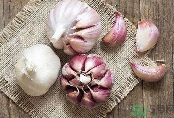 提高記憶力要吃什么食物？吃什么食物提高記憶力？