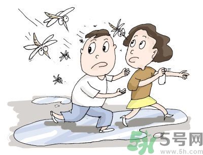 被蚊子咬很癢怎么辦？被蚊子咬要怎么止癢？
