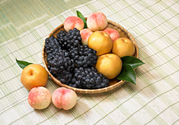 桃子和梨子能一起吃嗎？桃子和梨子一起吃好嗎？