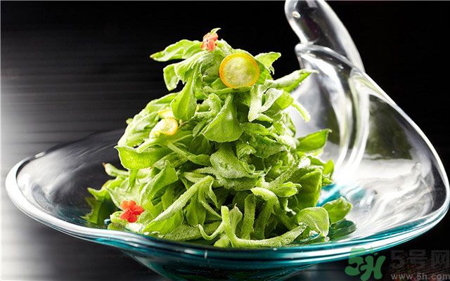 什么是冰草？冰草有什么作用？