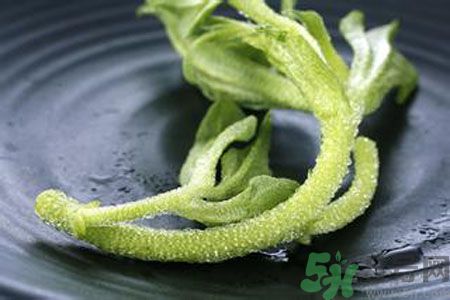 冰草好吃嗎？冰草怎么做好吃？