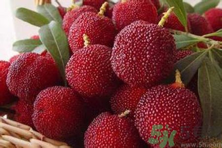楊梅是不是發(fā)物？楊梅是發(fā)物嗎？
