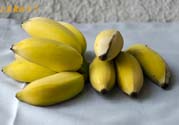 牛奶蕉可以減肥嗎？牛奶蕉怎么吃減肥？
