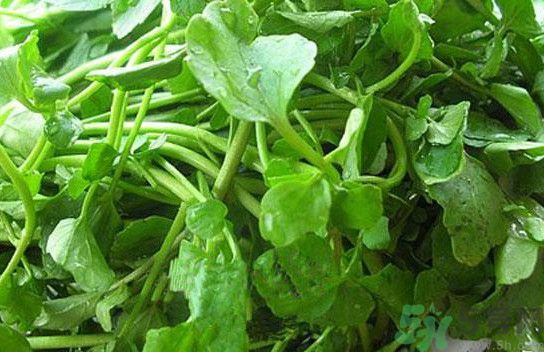 水腫能吃茄子嗎？茄子能消水腫嗎？