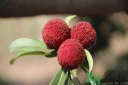 吃楊梅會(huì)上火嗎？吃楊梅上火怎么辦？
