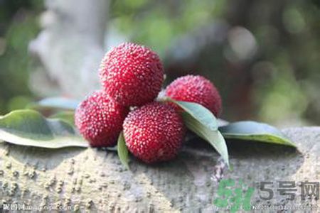 吃楊梅會(huì)上火嗎？吃楊梅上火怎么辦？