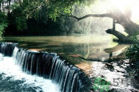 為什么夏至有雨三伏熱？夏至有雨三伏熱是什么意思？