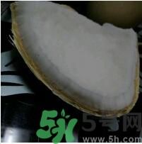 椰子可以放冰箱嗎？椰子放冰箱容易壞嗎？