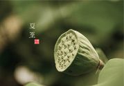夏至有什么習(xí)俗？夏至吃什么傳統(tǒng)食物？