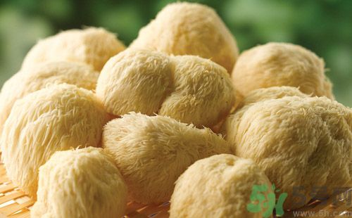 吃猴頭菇有什么好處？猴頭菇有什么營養(yǎng)價(jià)值？