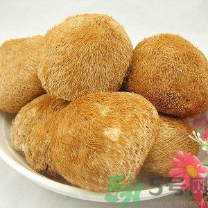 吃猴頭菇有什么好處？猴頭菇有什么營養(yǎng)價(jià)值？