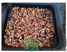 猴頭菇粉怎么做？猴頭菇餅干怎么做？