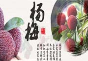 喉嚨痛可以吃楊梅嗎？喉嚨痛吃楊梅好嗎？