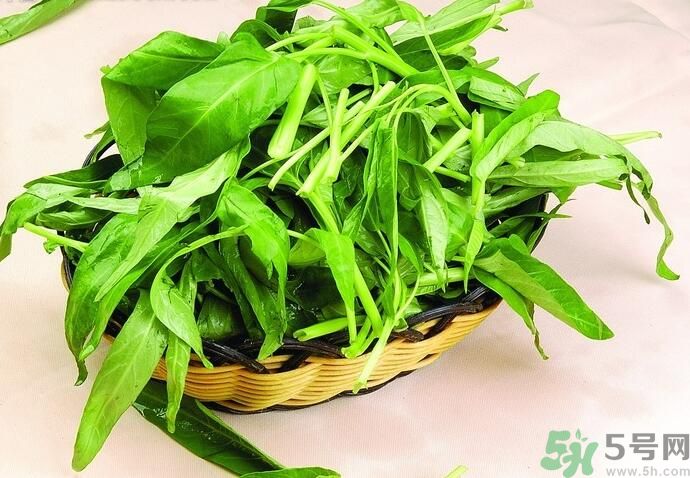 空心菜有什么功效？空心菜的功效是什么？