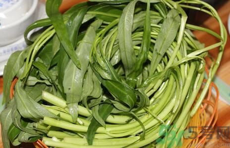 空心菜吃葉子還是吃桿？空心菜吃葉子好嗎？