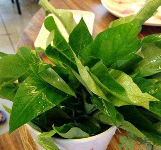 空心菜泡水了還能吃嗎？泡水的空心菜可以吃嗎？