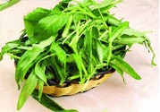 吃空心菜有什么好處？多吃空心菜對(duì)身體好嗎？
