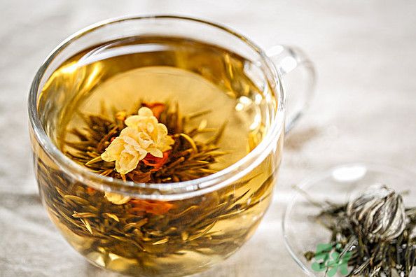 茉莉花綠茶加苦瓜能減肥嗎？茉莉花和苦瓜泡水喝嗎？