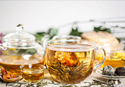 茉莉花綠茶加苦瓜能減肥嗎？茉莉花和苦瓜泡水喝嗎？