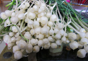 山蒜能吃嗎？小山蒜有毒嗎吃了對(duì)身體有害嗎？