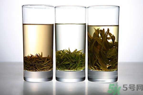 茯苓和苦丁茶能一起泡嗎？茯苓可以和苦丁茶一起喝嗎？