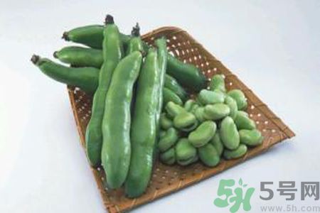 蠶豆是熱性還是涼性？蠶豆是熱性的嗎？