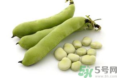 寶寶可以吃蠶豆嗎？寶寶多大可以吃蠶豆？