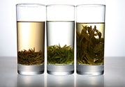 茯苓和苦丁茶能一起泡嗎？茯苓可以和苦丁茶一起喝嗎？