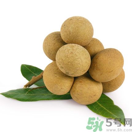 吃龍眼能夠補腦嗎？吃龍眼可以變聰明?