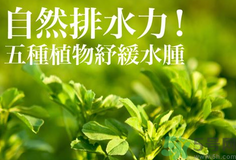 南瓜去水腫嗎？南瓜能消腫嗎？