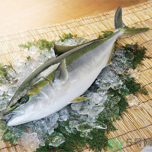 冷凍肉解凍不好吃怎么辦？冷凍肉怎樣解凍好吃？