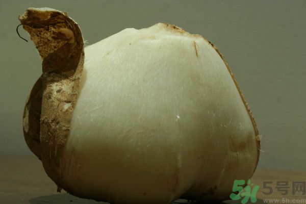 涼薯吃多了好嗎？地瓜吃多了會上火嗎？