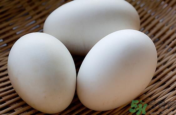 鵝蛋可以清火嗎？鵝蛋可以降火嗎？