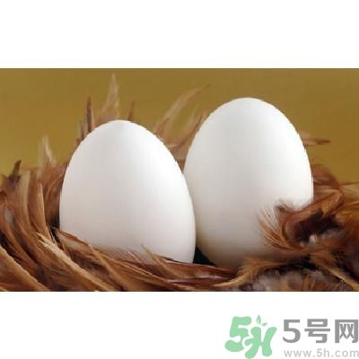 鵝蛋可以清火嗎？鵝蛋可以降火嗎？