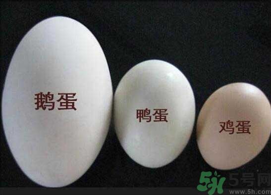 鵝蛋和鴨蛋哪個(gè)好？鵝蛋和鴨蛋哪個(gè)清火效果好？