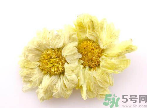 菊花晶能喝綠豆湯一起喝嗎？菊花晶和綠豆湯可以一起喝嗎？