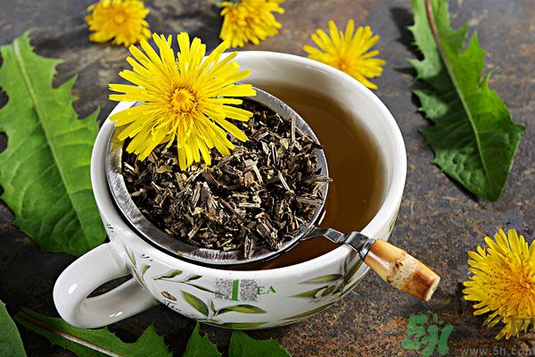 蒲公英泡茶有什么功效？蒲公英泡茶的功效是什么？
