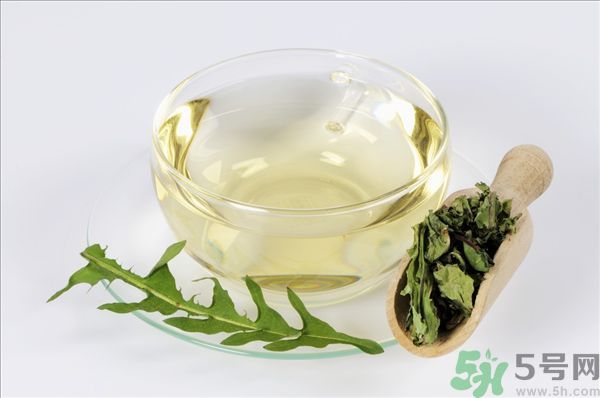 蒲公英泡水喝有副作用嗎？蒲公英泡水喝要注意什么？