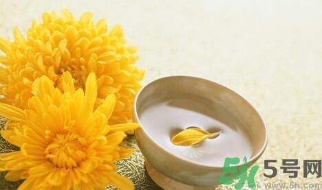 蒲公英可以祛痘嗎？蒲公英怎樣可以祛痘？