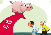 豬肉價(jià)格為什么驚動(dòng)世界？豬肉價(jià)格一直上漲的原因是什么？