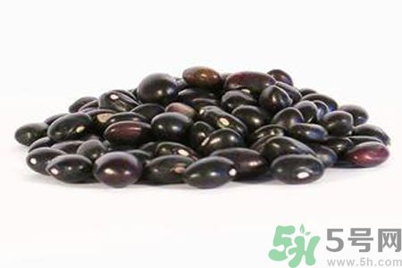 黑豆是熱性還是涼性？黑豆是涼性嗎？