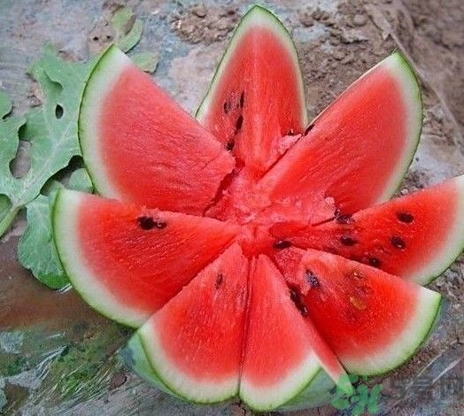 坐月子能吃西瓜嗎？坐月子吃西瓜好不好？