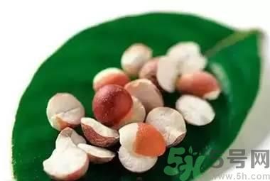 夏天吃芡實(shí)好嗎？夏天吃芡實(shí)有什么好處？