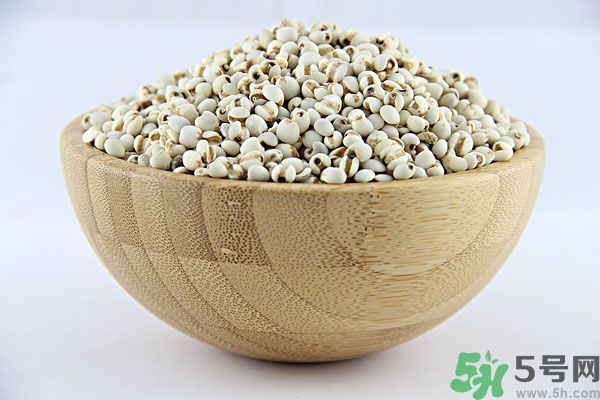 夏天吃薏米好嗎？夏天吃薏米有什么好處？